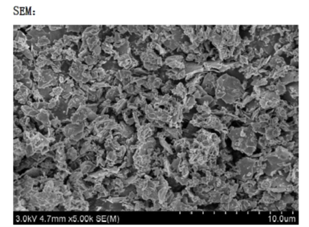 Particle Morphology (SEM)