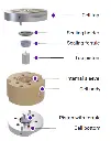 ASC-X（1）.webp