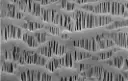 celgard sem.webp