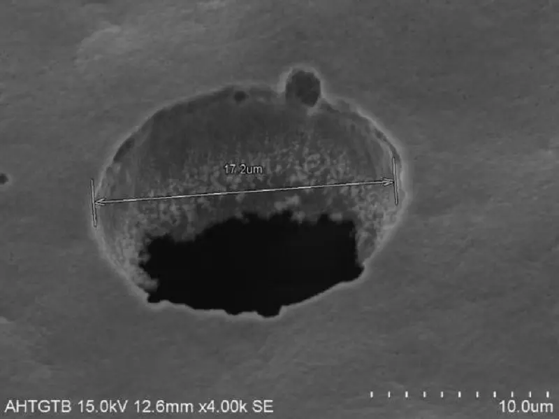 Micro-AL-Foil (1).webp