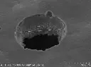 Micro-AL-Foil (1).webp