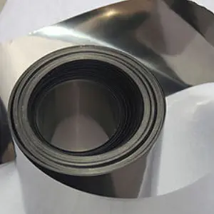 Stainless steel foil